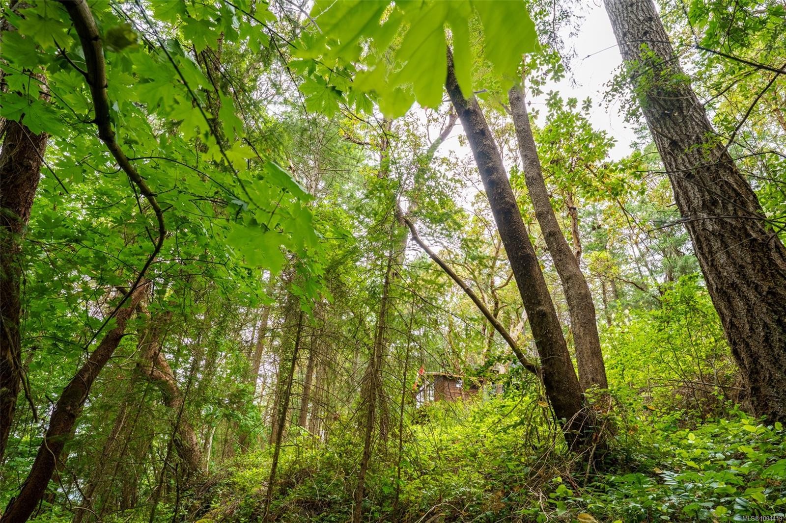 Lot 80 Ruxton Island, Ruxton Island, BC