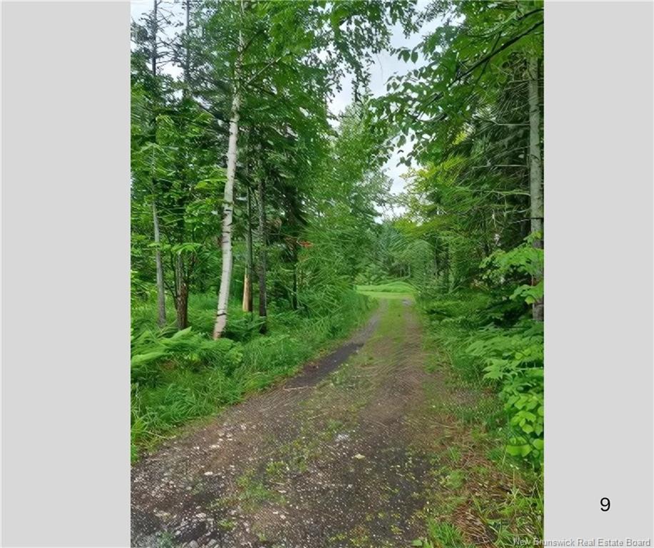 717 Chemin Laplante, Alcida, NB