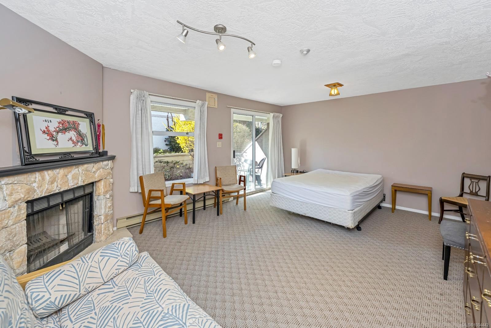 206-1223 Johnson St, Victoria, BC - Indoor With Fireplace