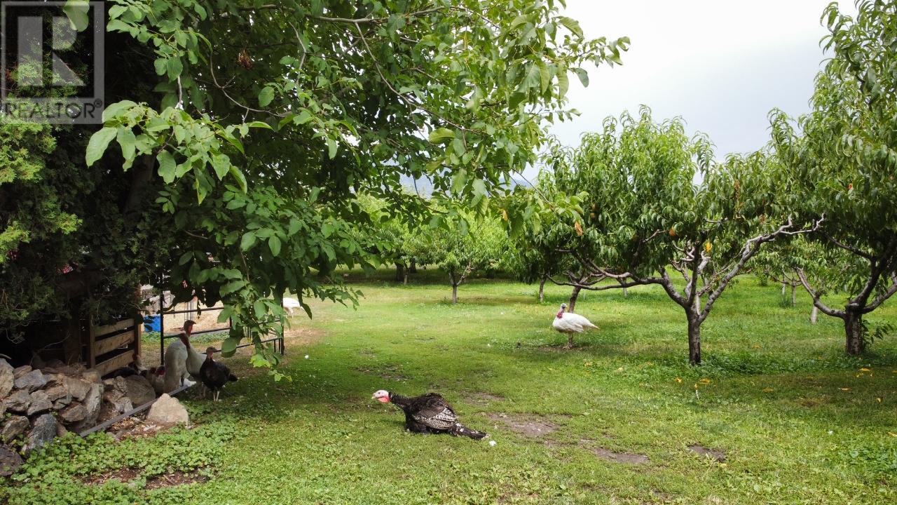 459 18 Road, Oliver, BC