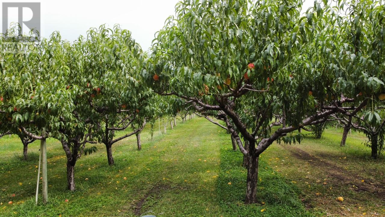 459 18 Road, Oliver, BC