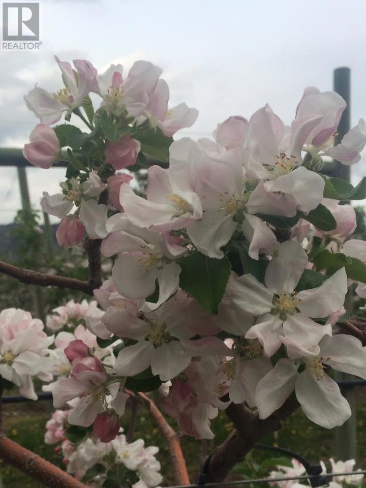 459 18 Road, Oliver, BC