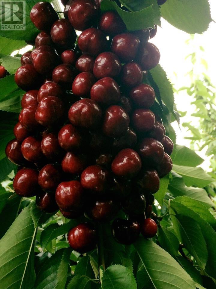 459 18 Road, Oliver, BC