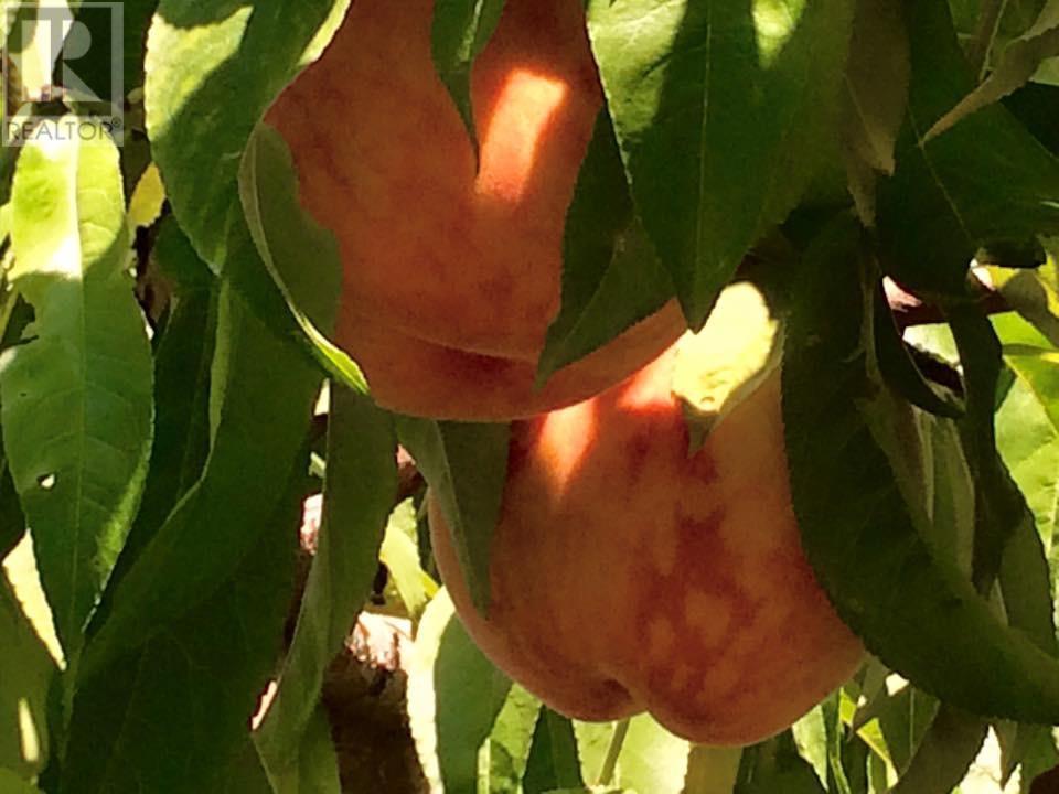 459 18 Road, Oliver, BC