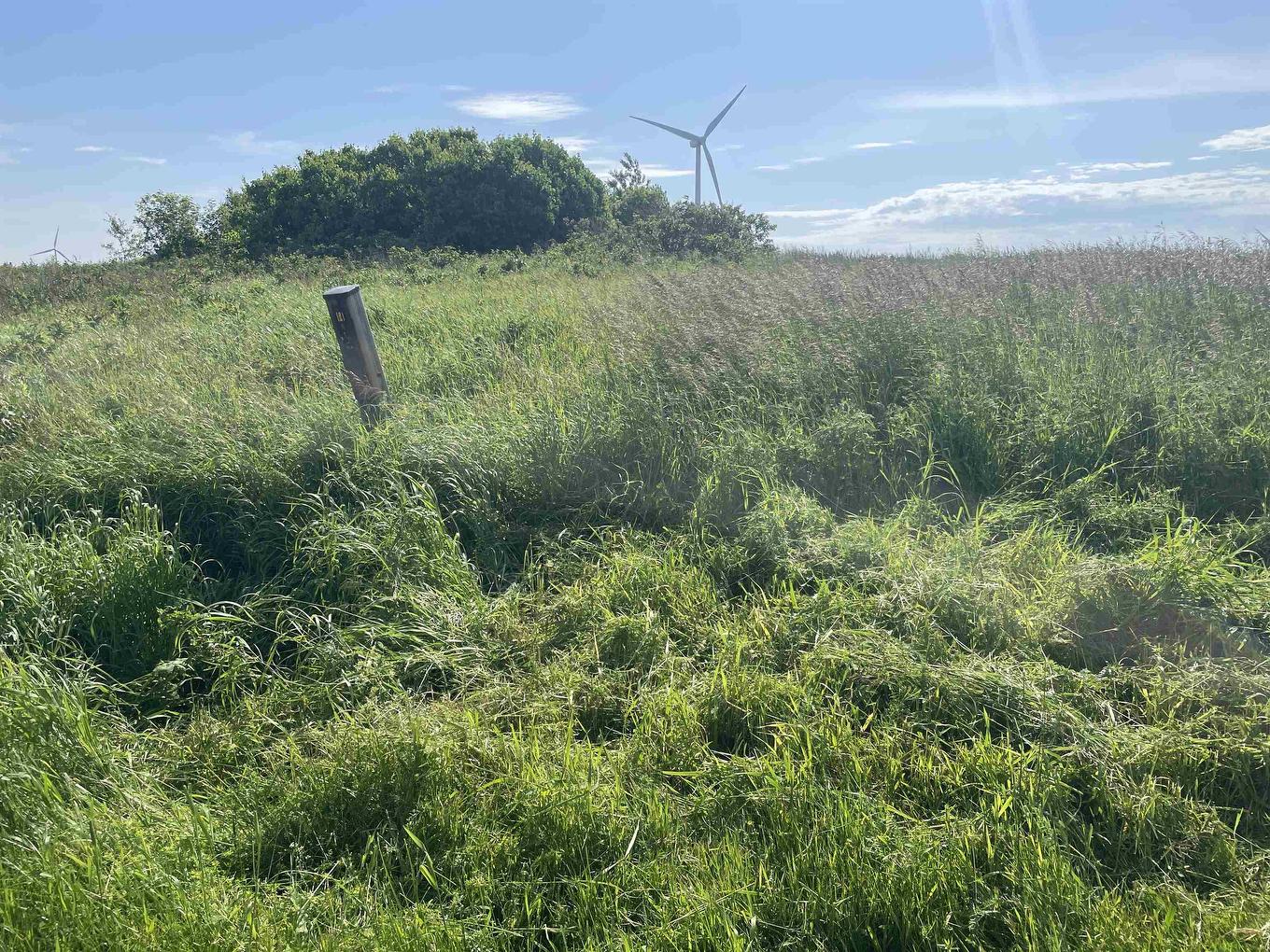 0 Route 14, West Cape, PE