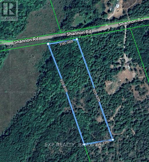 2822 Shannon Road, Tyendinaga (Tyendinaga Township), ON