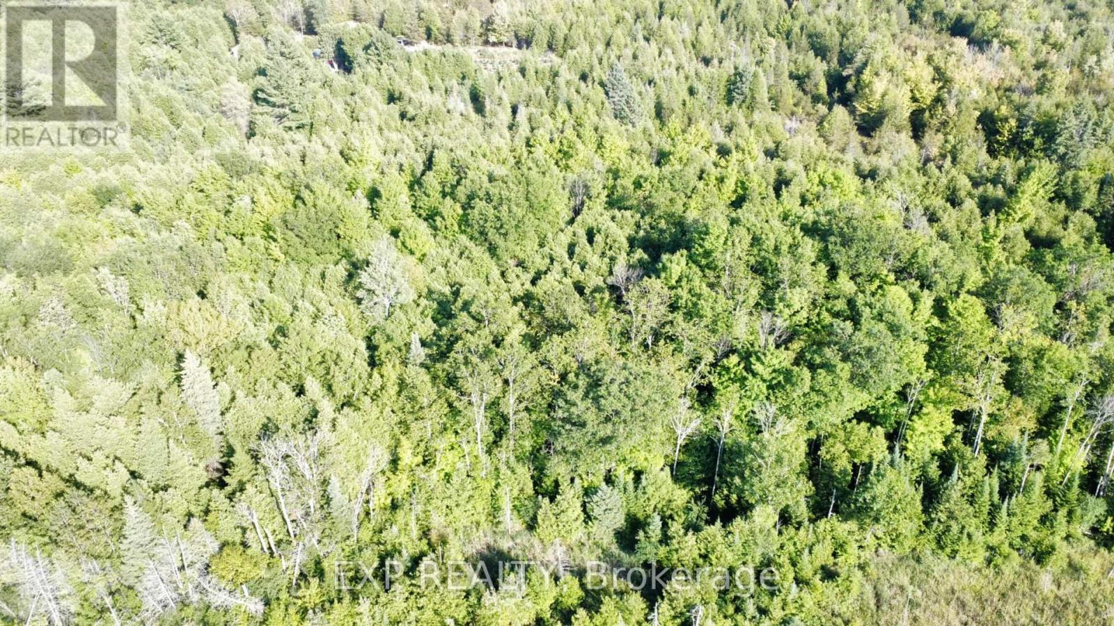 2822 Shannon Road, Tyendinaga (Tyendinaga Township), ON