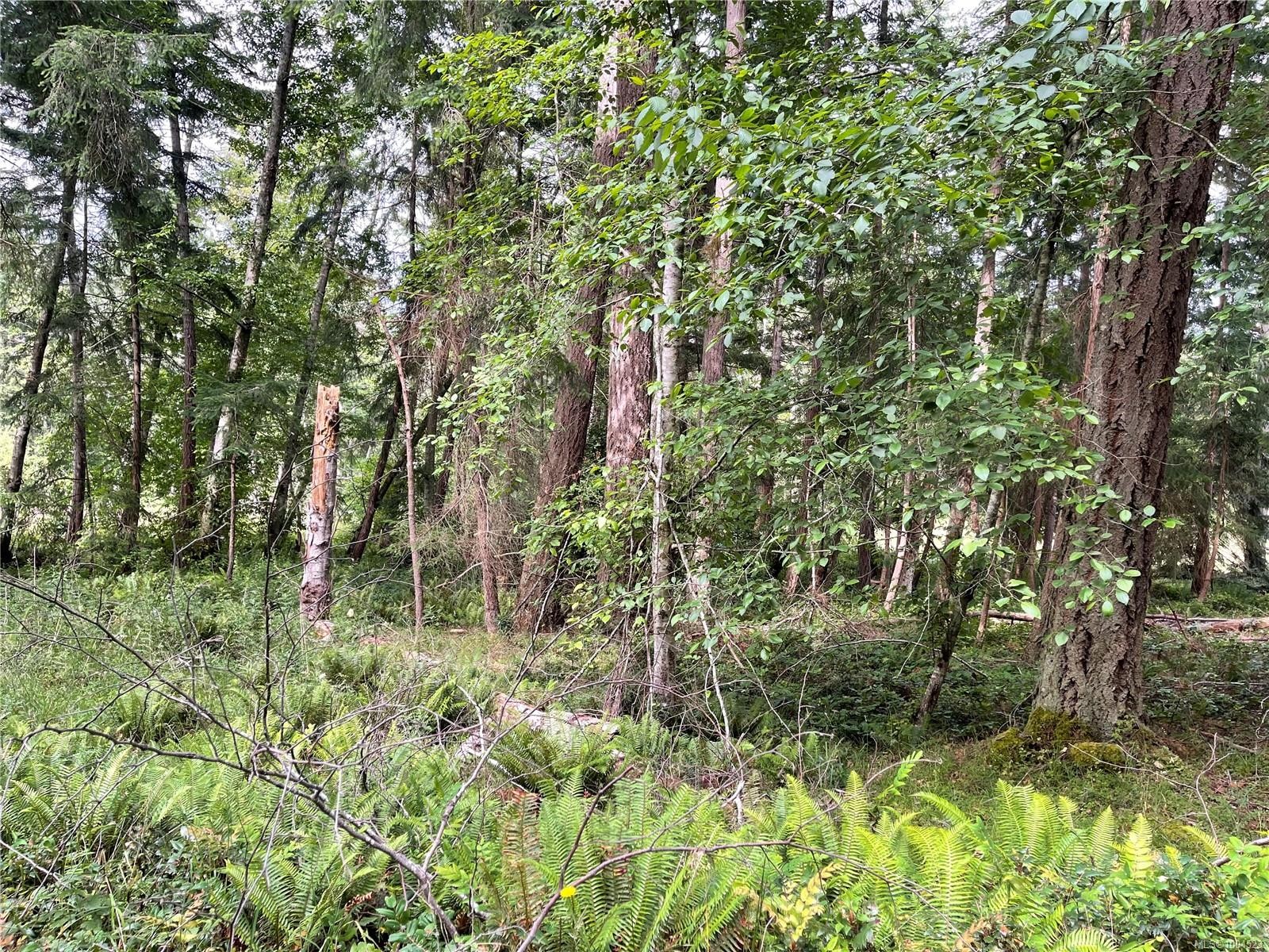 Lot 17 Apple Orchard Way, Mudge Island, BC