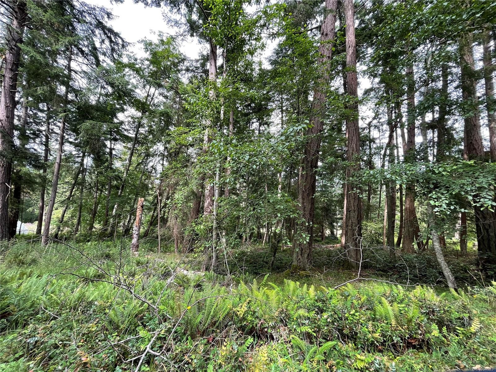 Lot 17 Apple Orchard Way, Mudge Island, BC