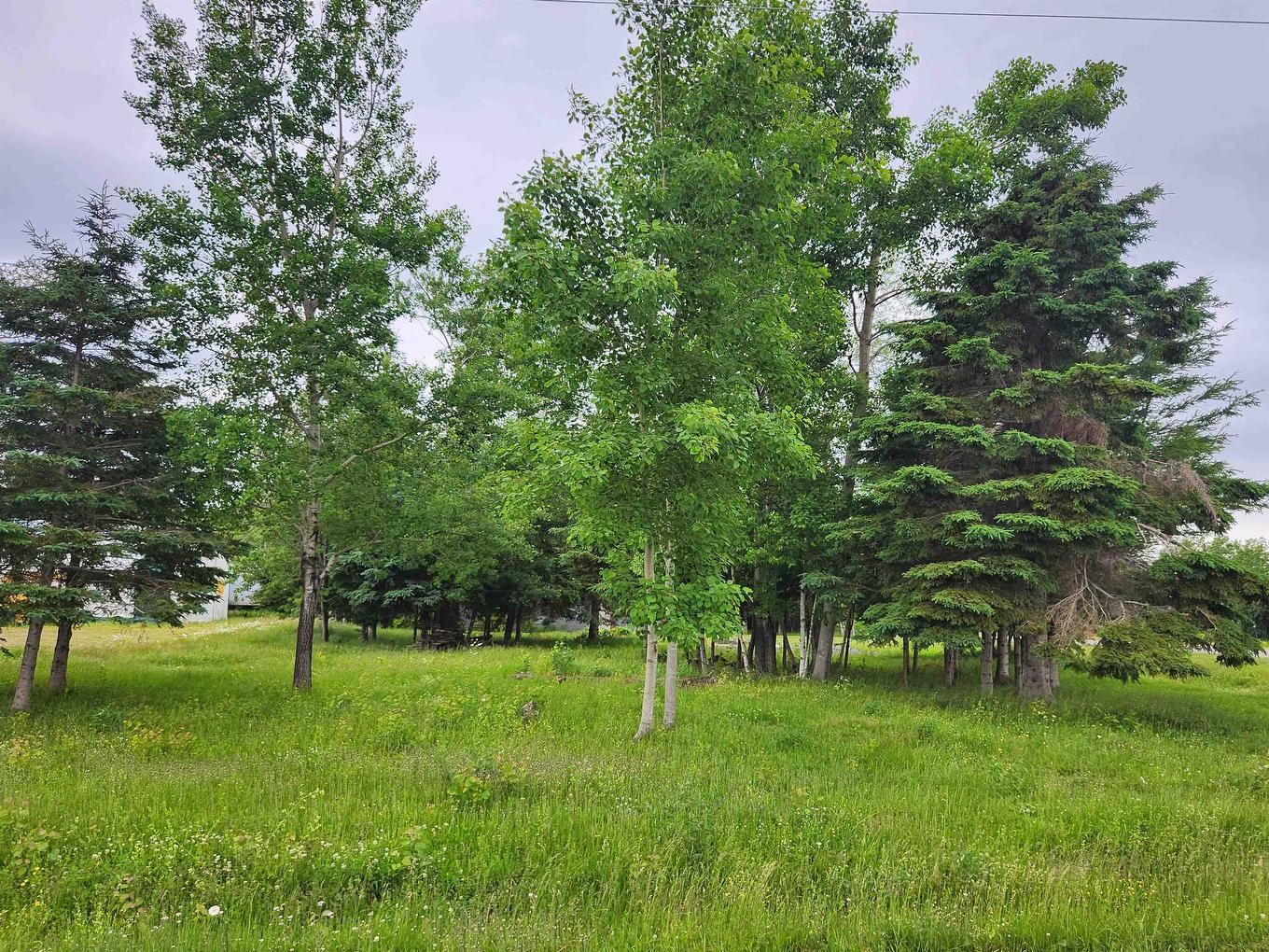 4171 Launching Road, Degros Marsh, PE