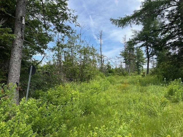 A Macleod Settlement Road, Upper Southwest Mabou, NS