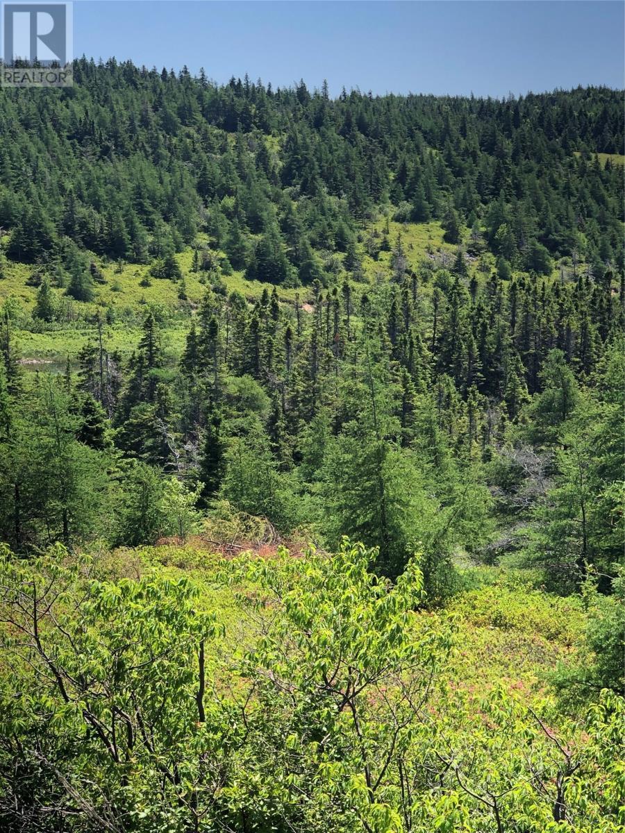 0 Black Duck Pond Road, Bareneed, NL