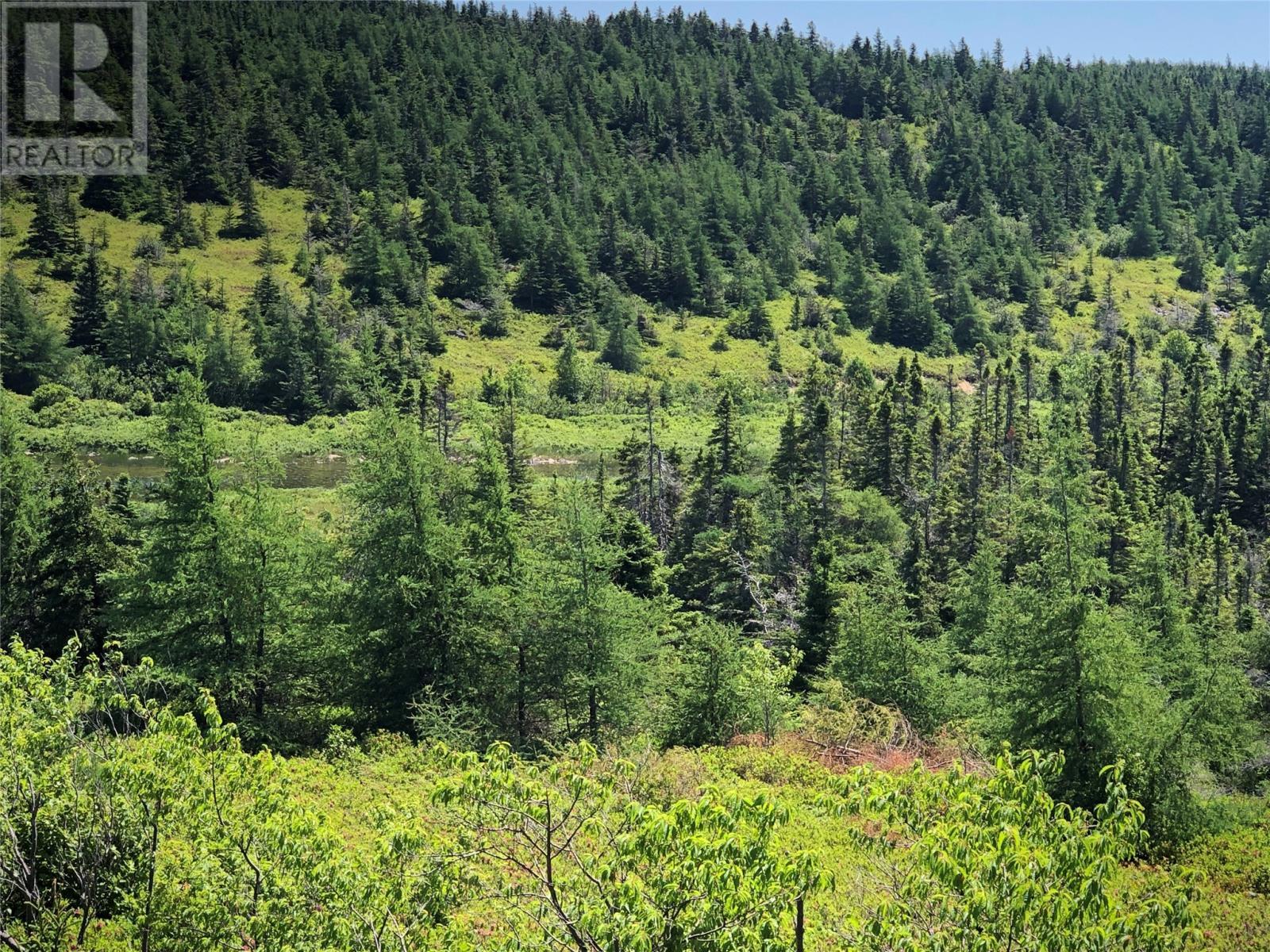 0 Black Duck Pond Road, Bareneed, NL