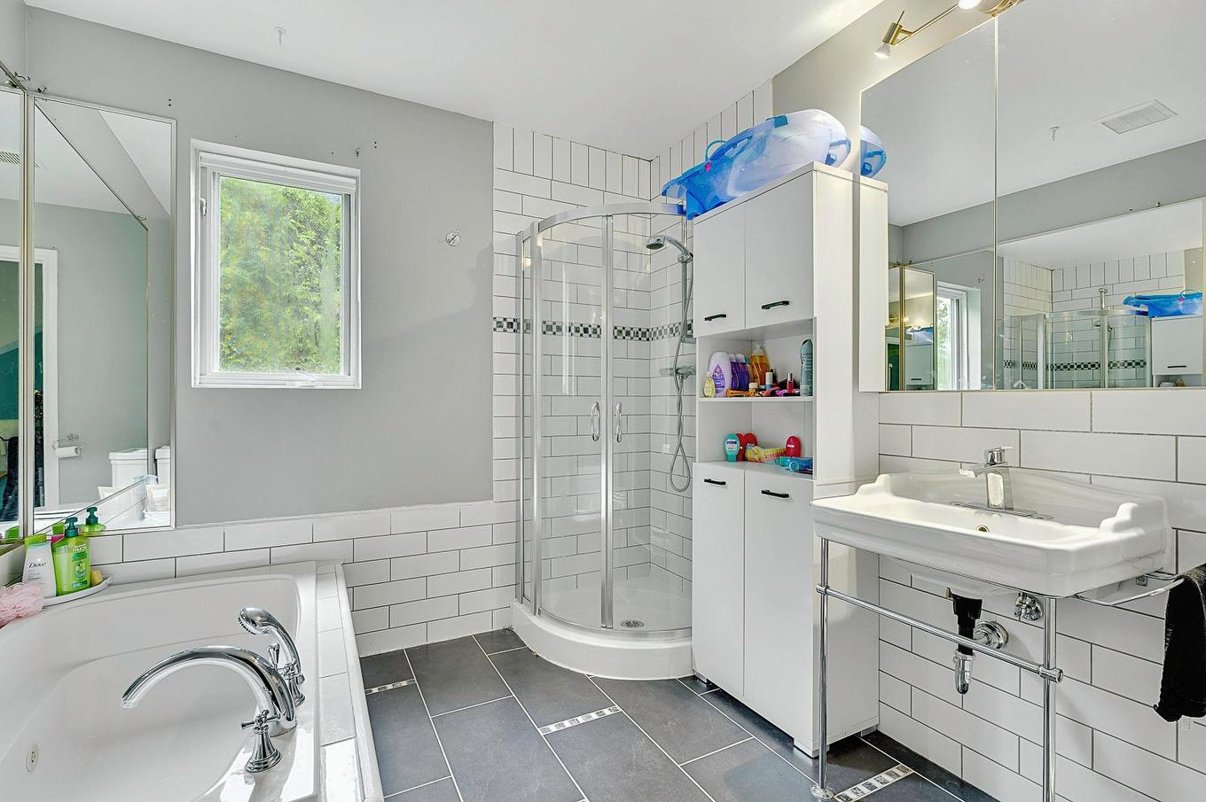 Salle de bains - 726 Rue Du Muguet, Sainte-Agathe-Des-Monts, QC - Indoor Photo Showing Bathroom