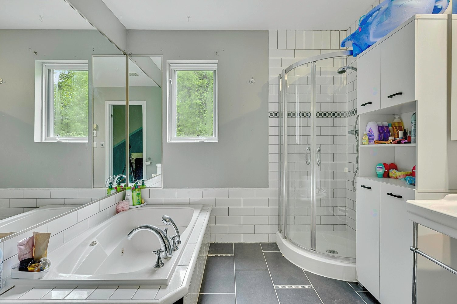 Salle de bains - 726 Rue Du Muguet, Sainte-Agathe-Des-Monts, QC - Indoor Photo Showing Bathroom