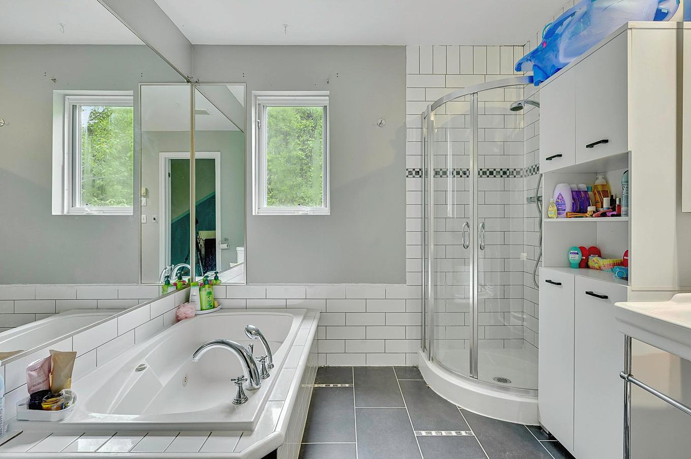 Salle de bains - 726 Rue Du Muguet, Sainte-Agathe-Des-Monts, QC - Indoor Photo Showing Bathroom