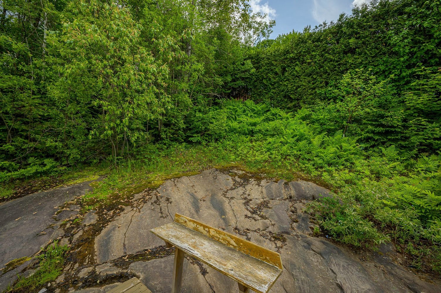 Cour - 726 Rue Du Muguet, Sainte-Agathe-Des-Monts, QC - Outdoor