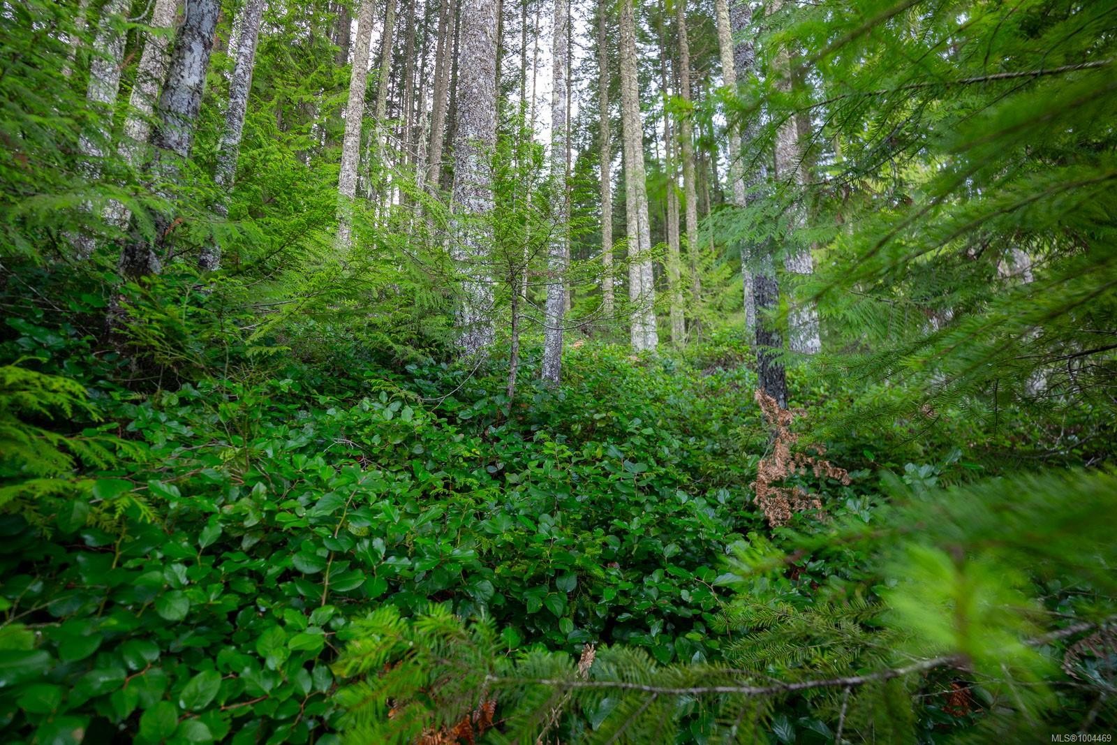 Lot 13 Longview Pl, Nanaimo, BC