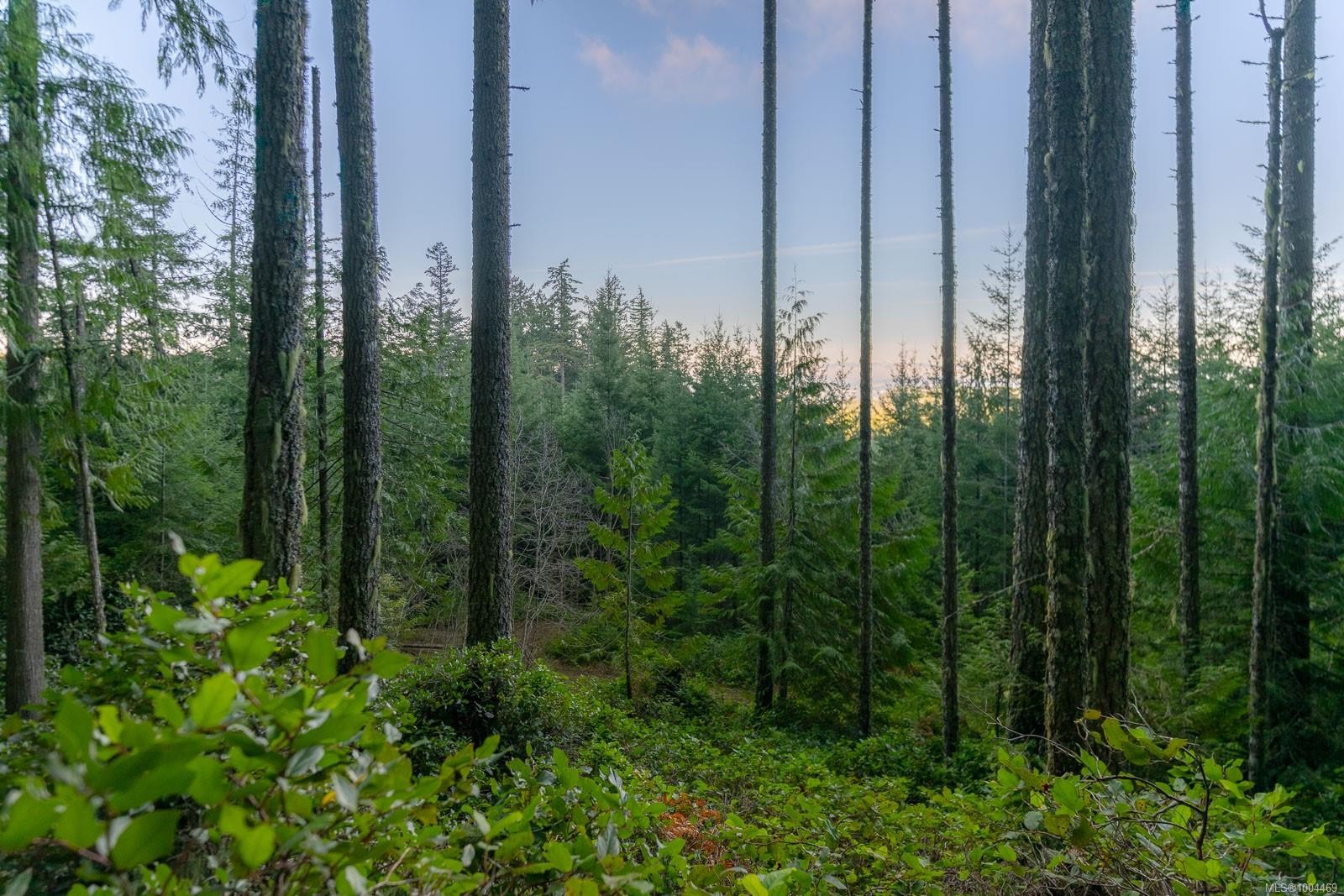 Lot 13 Longview Pl, Nanaimo, BC