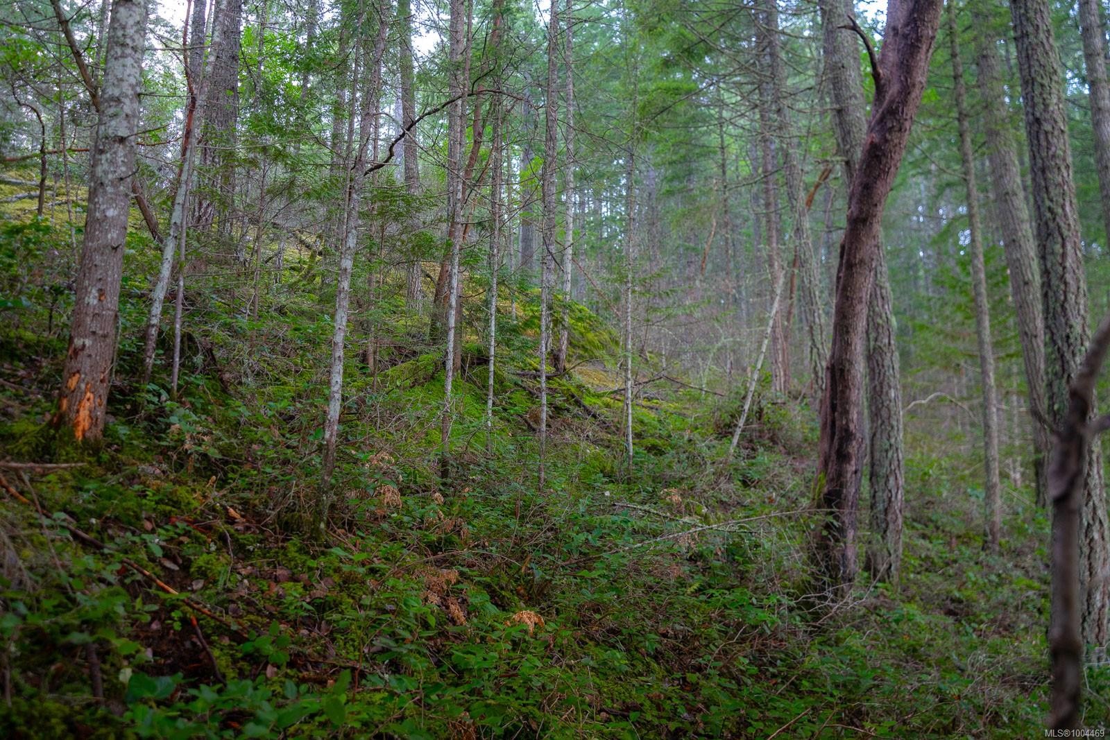 Lot 13 Longview Pl, Nanaimo, BC