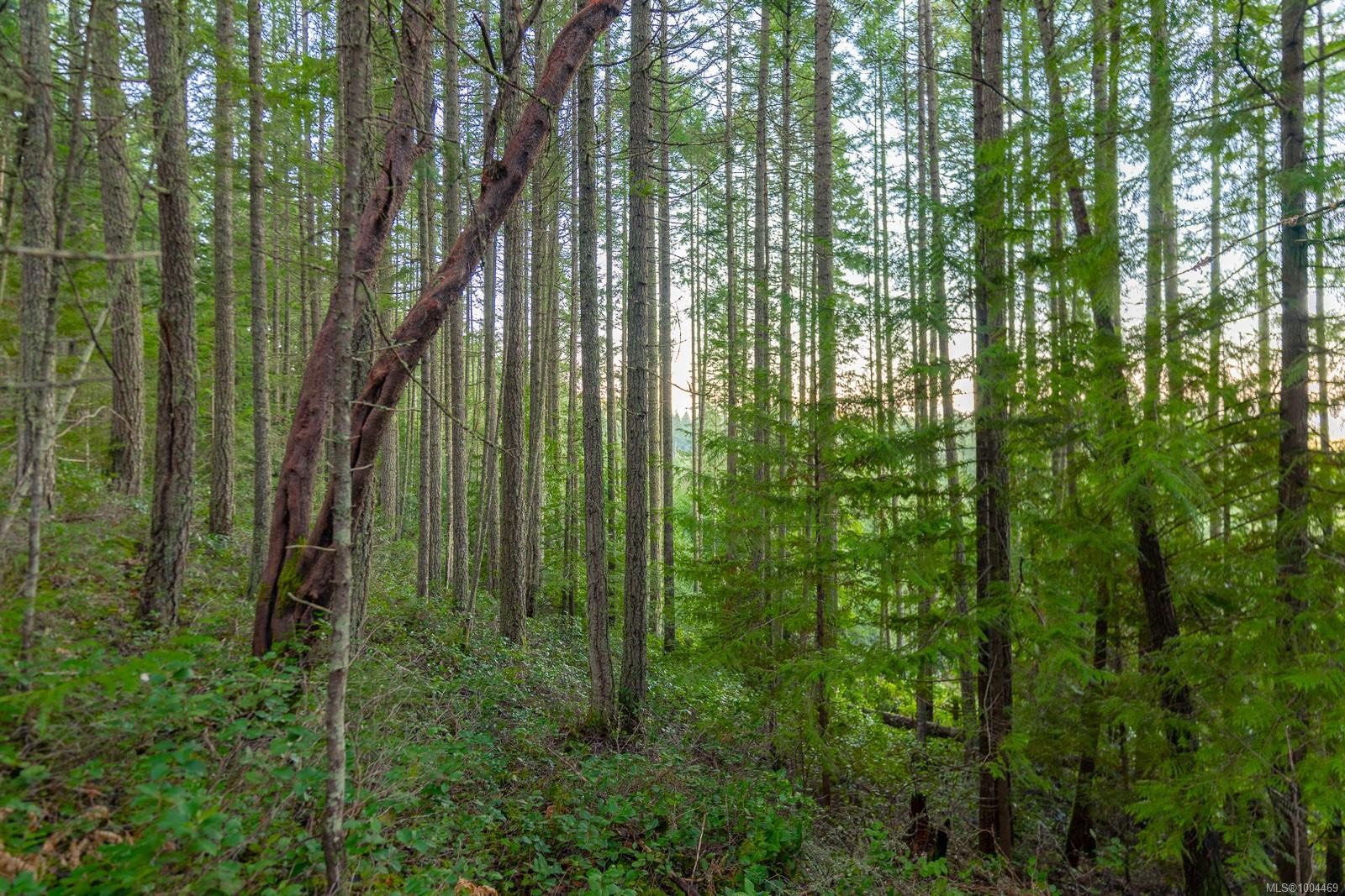 Lot 13 Longview Pl, Nanaimo, BC