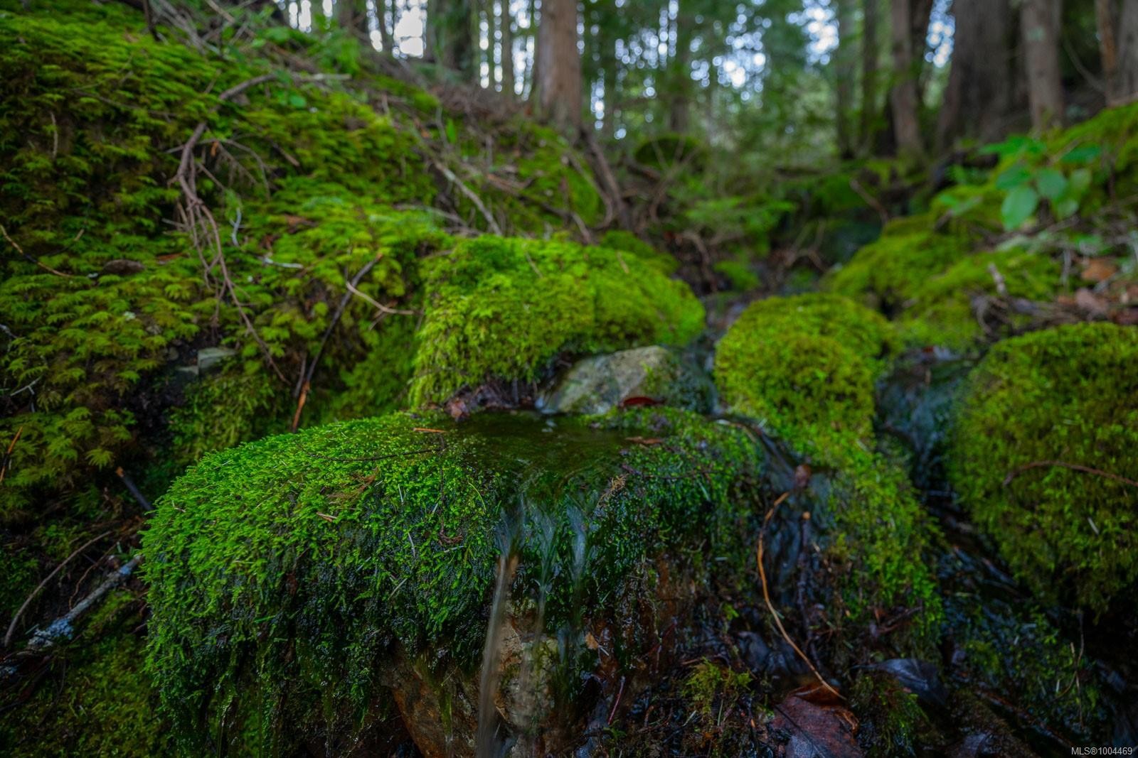 Lot 13 Longview Pl, Nanaimo, BC