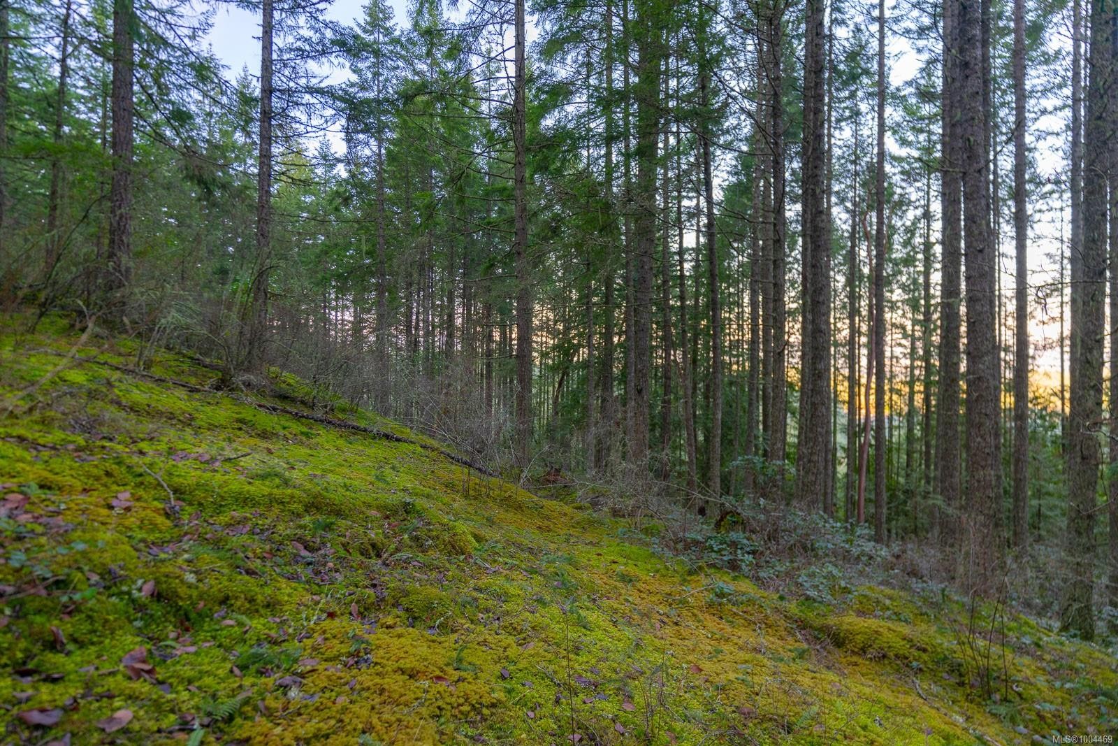 Lot 13 Longview Pl, Nanaimo, BC