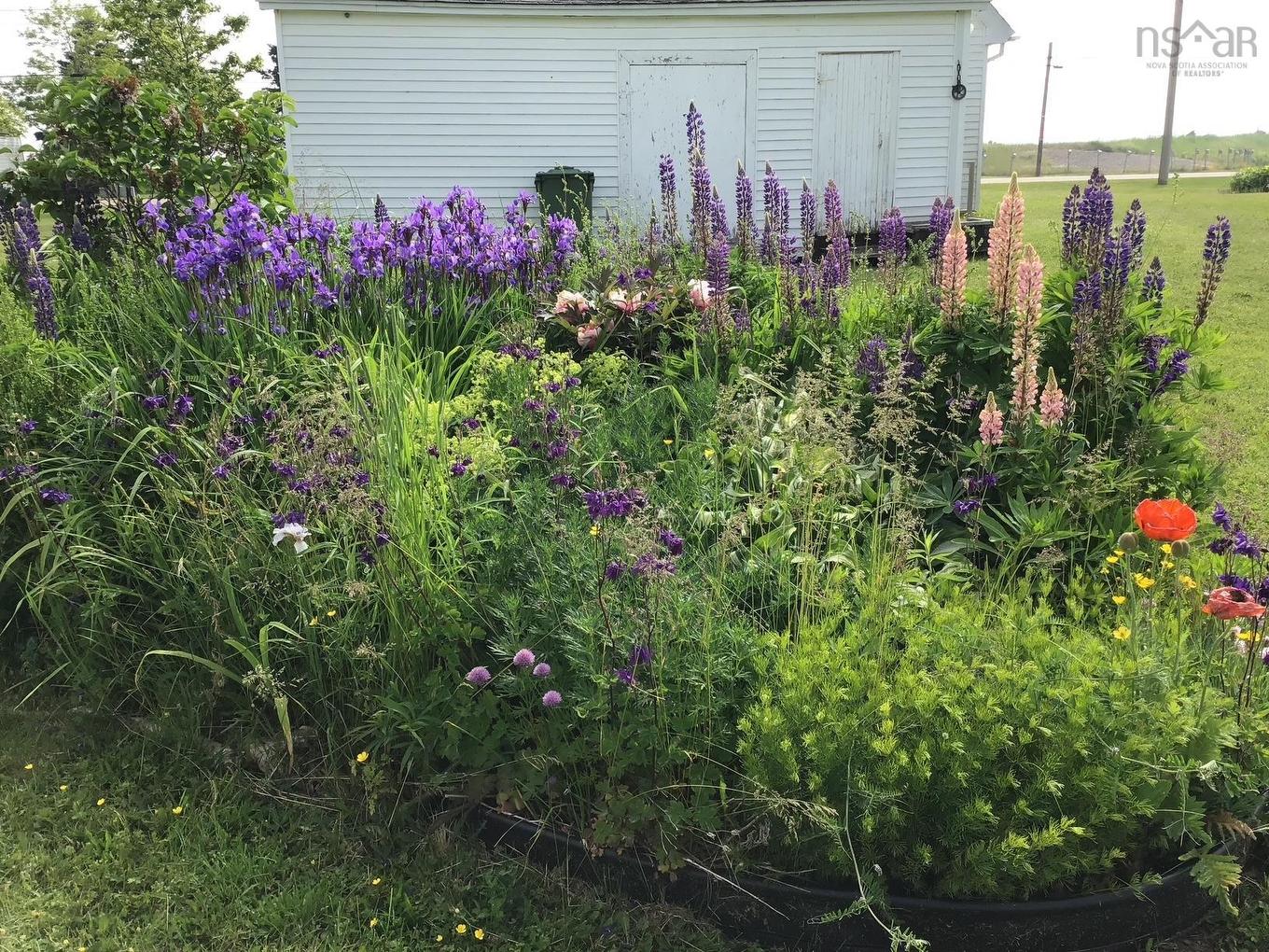 3685 Highway 209, Advocate Harbour, NS