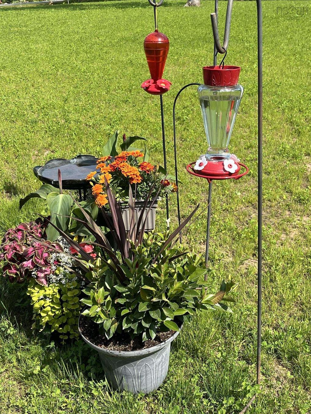 67 Cambridge Mountain Road, Prospect, NS