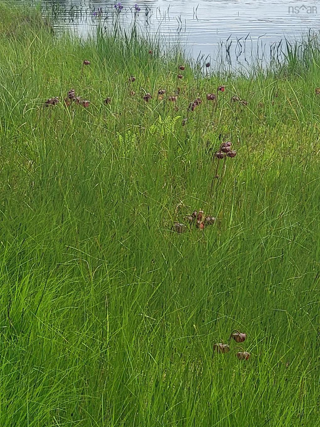 7219 Kemptown, Kemptown, NS