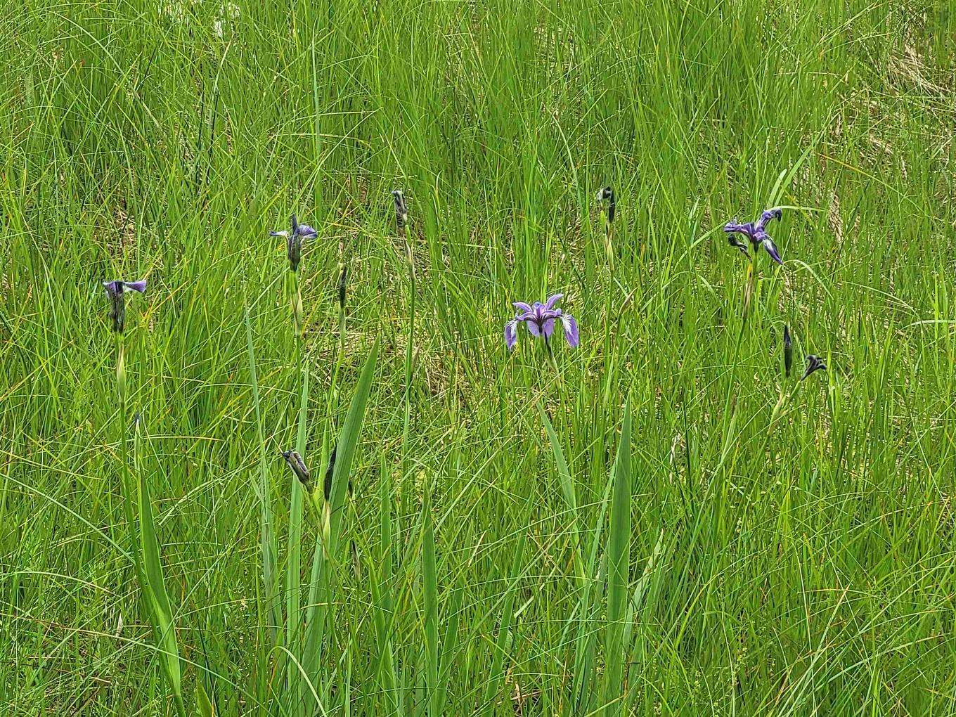 7219 Kemptown, Kemptown, NS