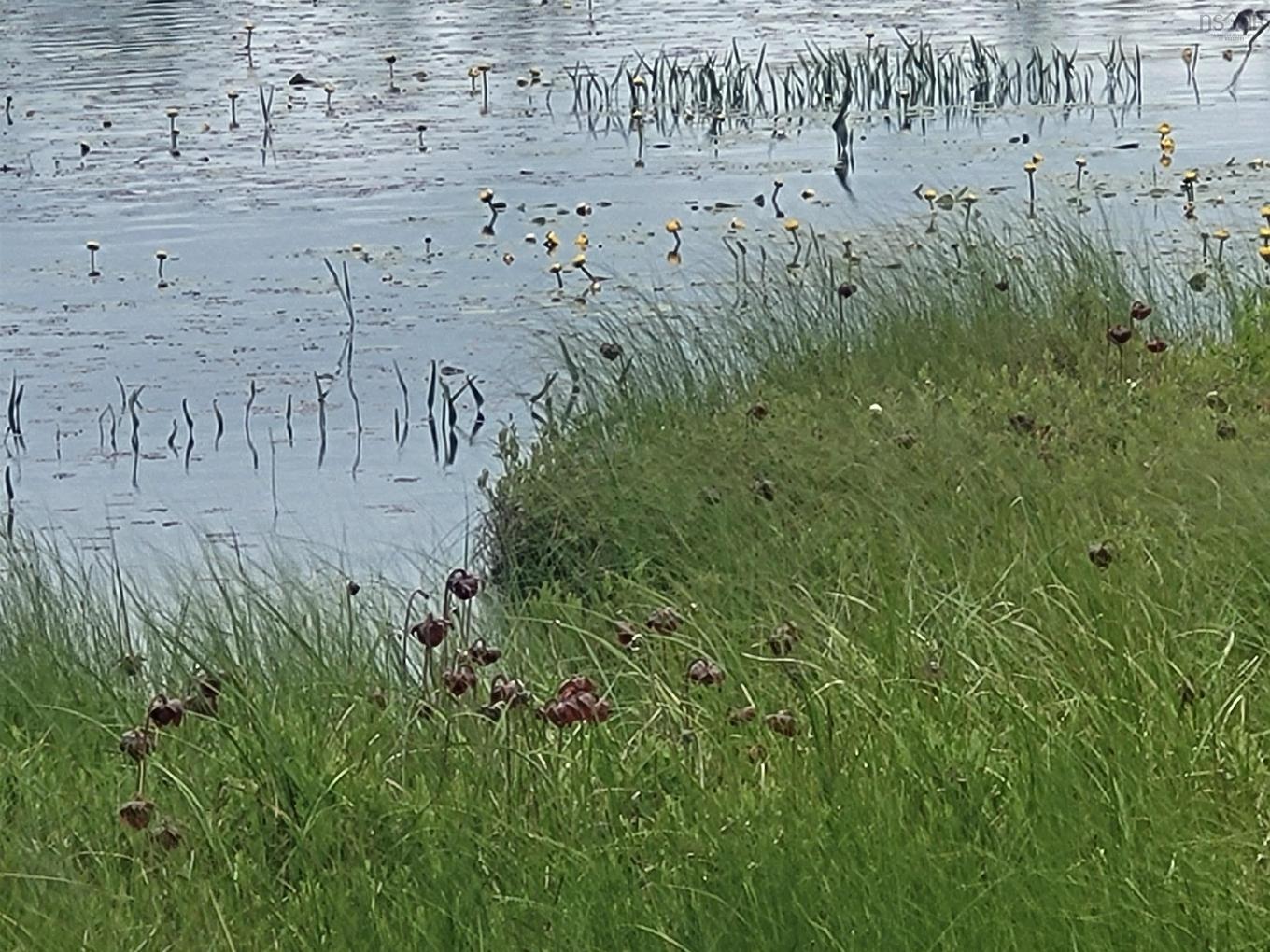 7219 Kemptown, Kemptown, NS