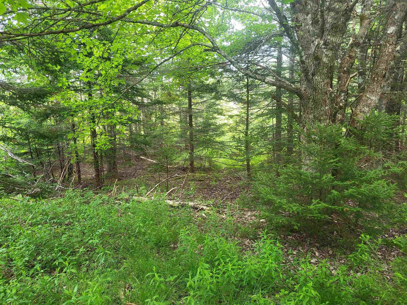 7219 Kemptown, Kemptown, NS