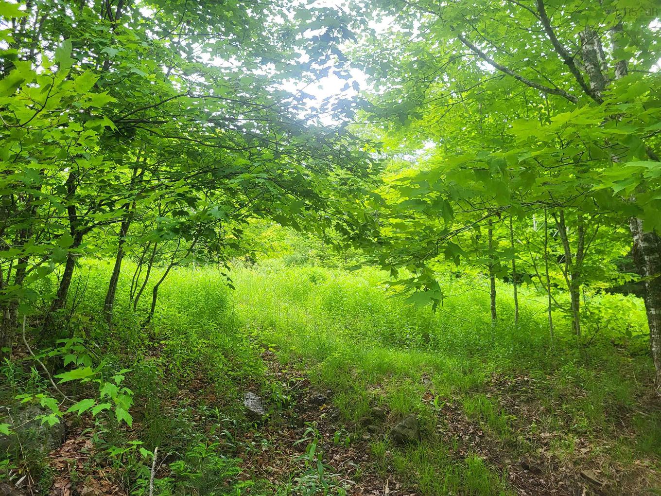 7219 Kemptown, Kemptown, NS