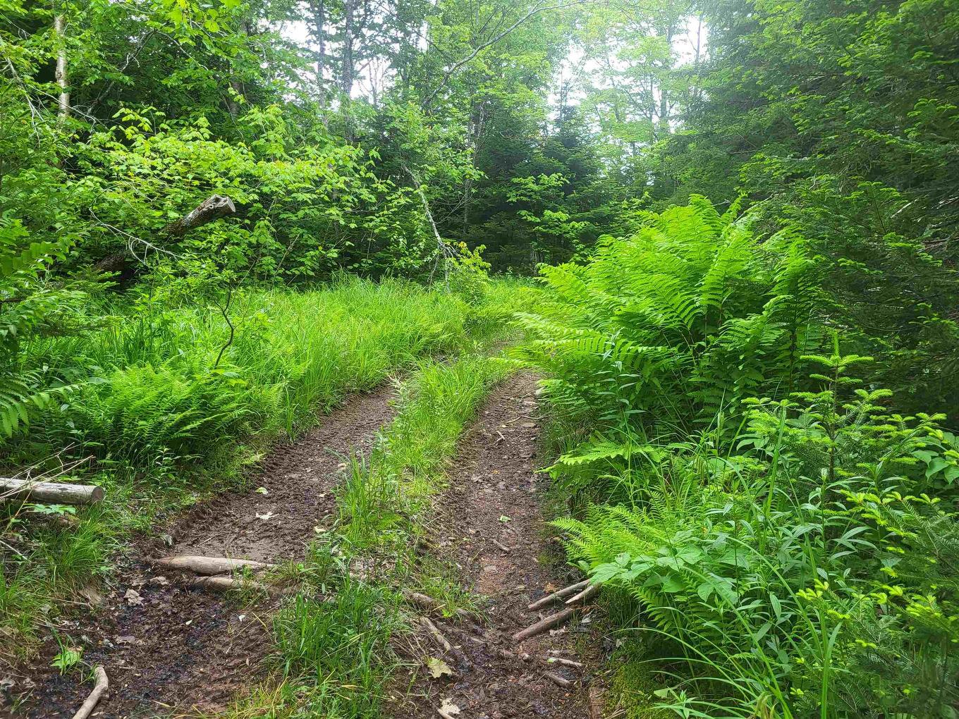 7219 Kemptown, Kemptown, NS