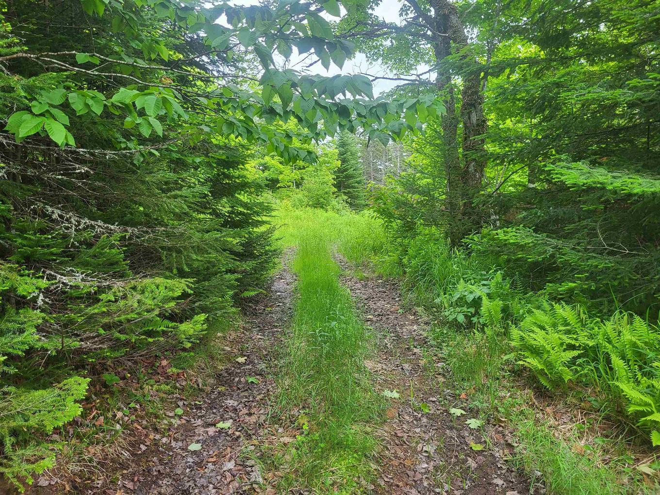 7219 Kemptown, Kemptown, NS