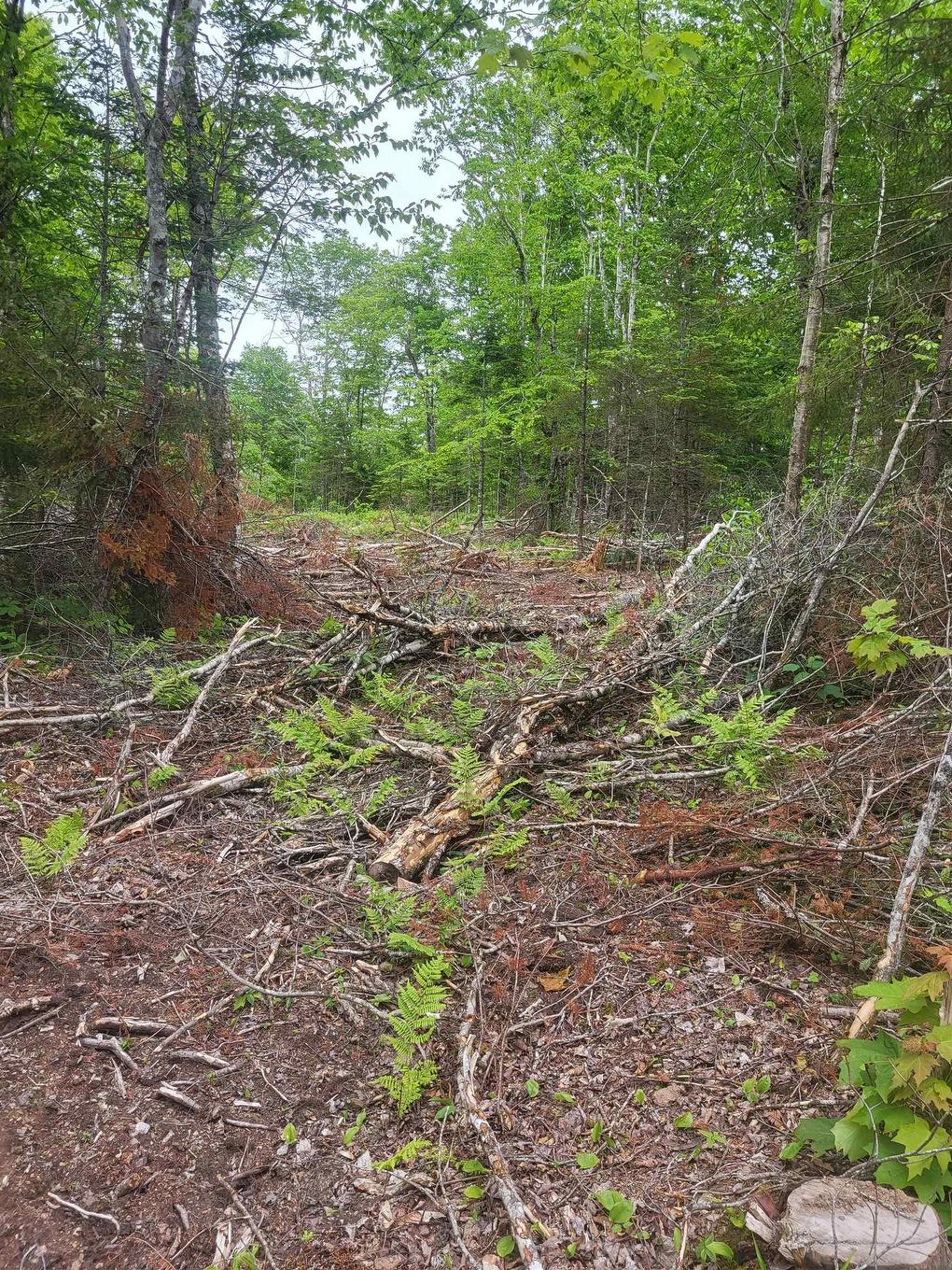 7219 Kemptown, Kemptown, NS