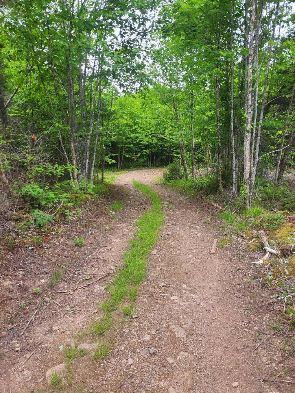 7219 Kemptown, Kemptown, NS