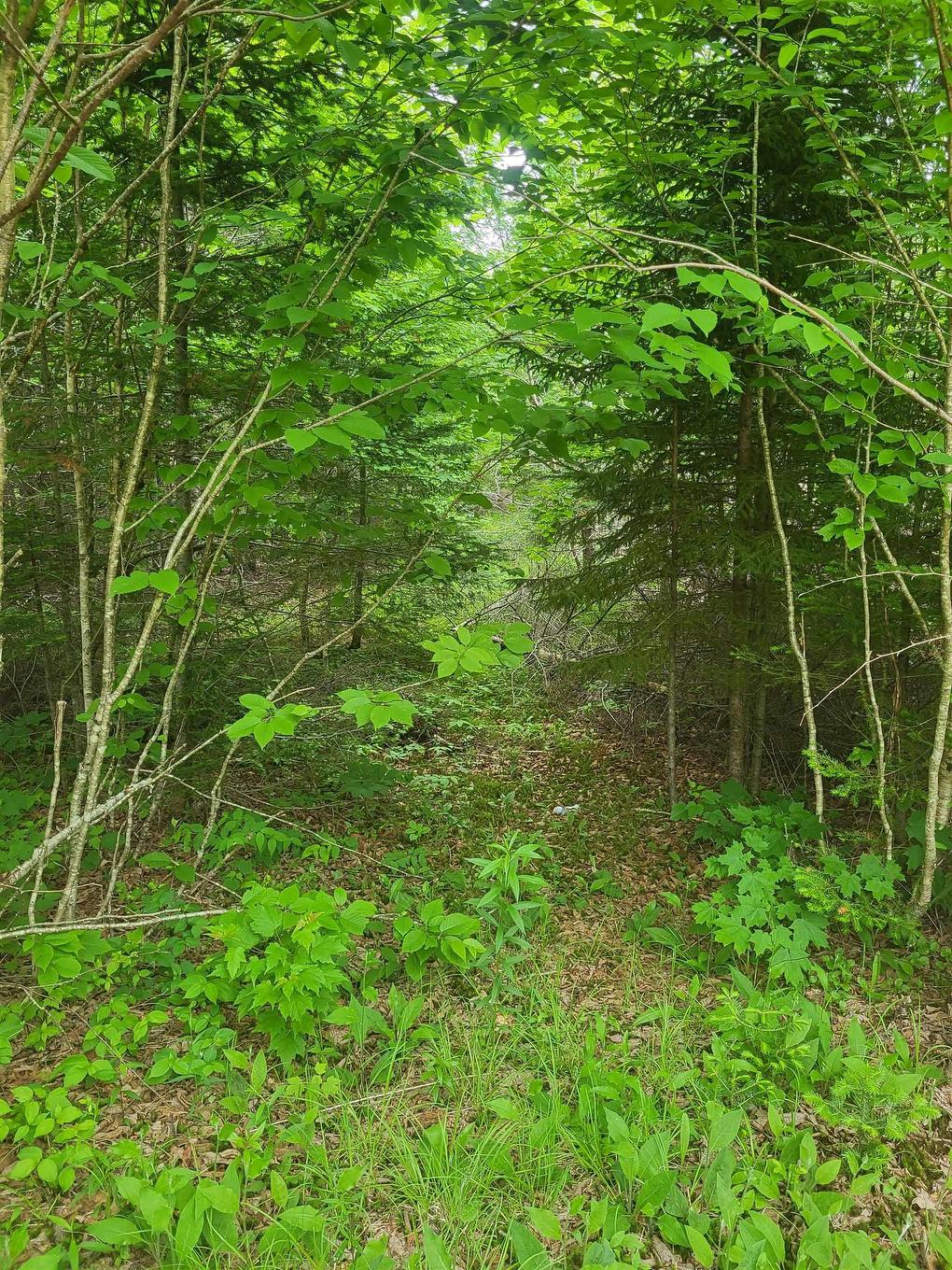 7219 Kemptown, Kemptown, NS