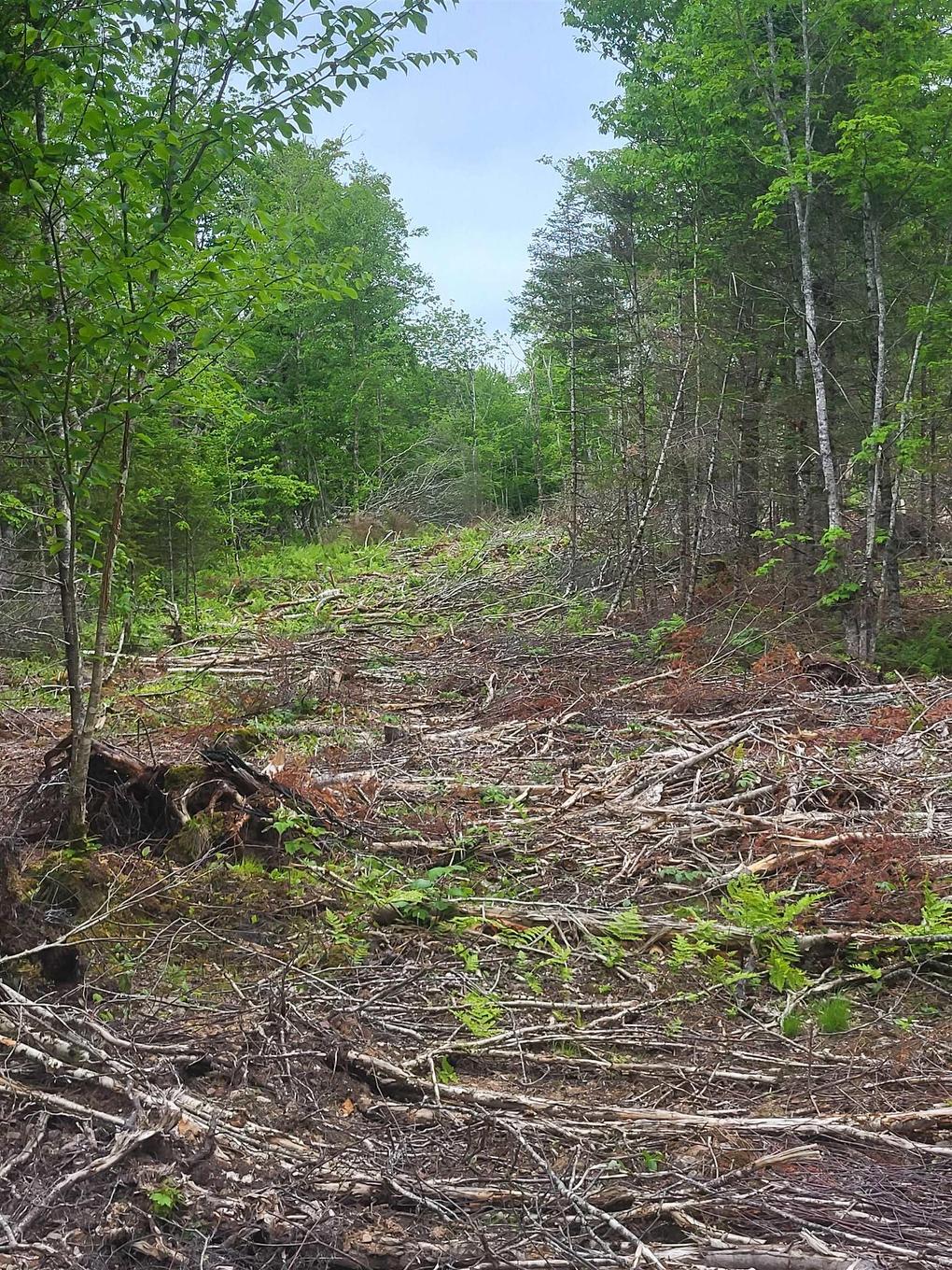 7219 Kemptown, Kemptown, NS