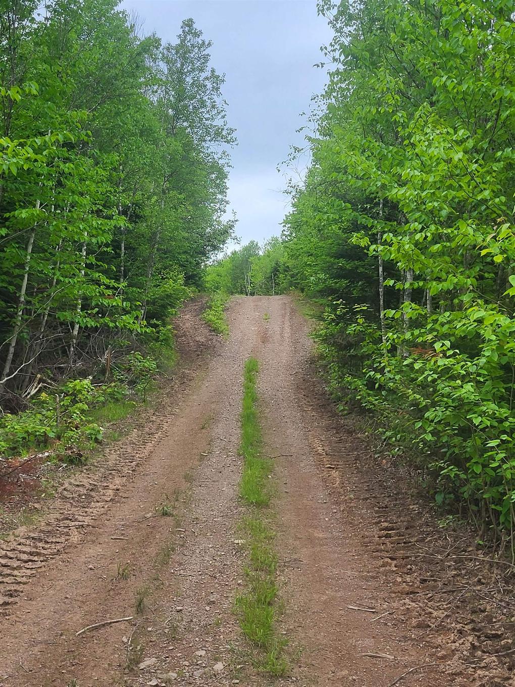 7219 Kemptown, Kemptown, NS