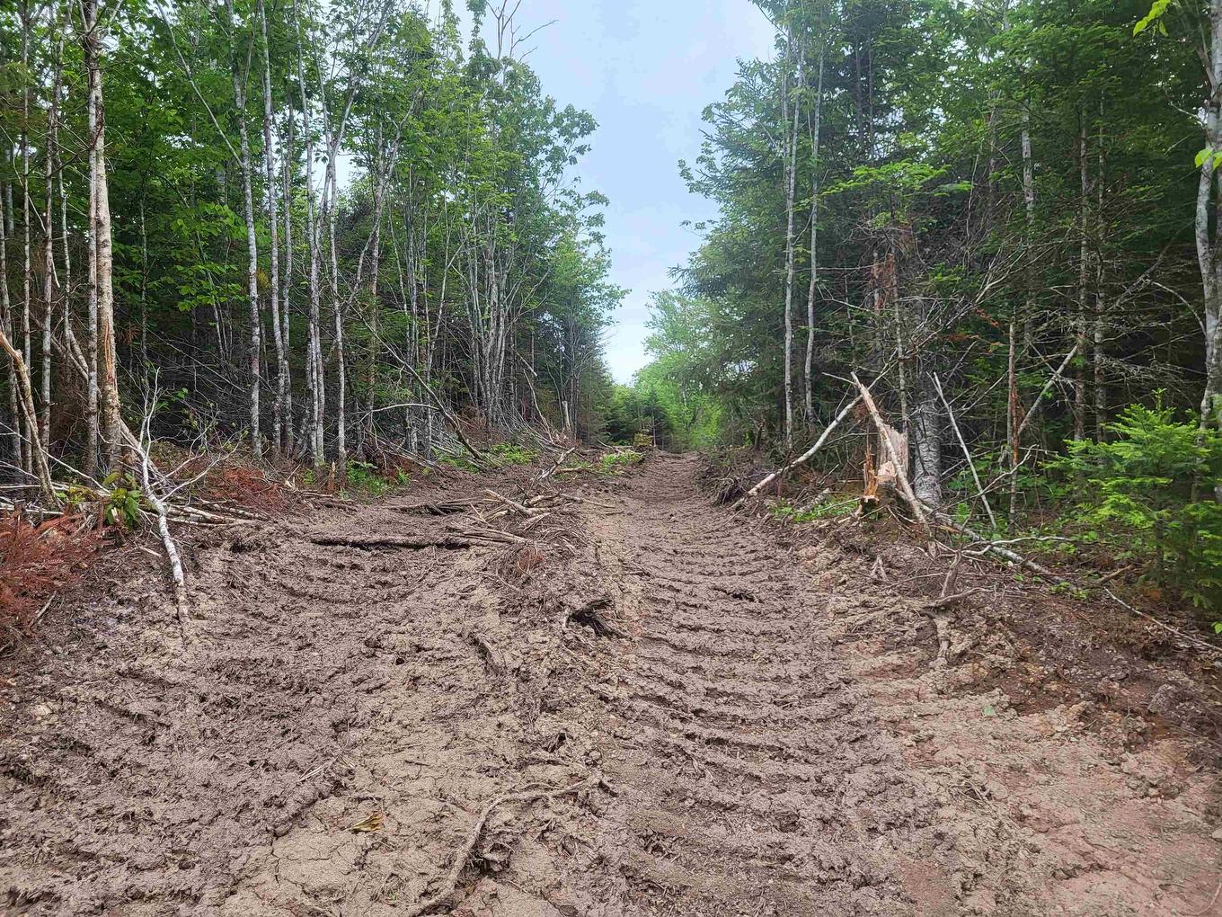 7219 Kemptown, Kemptown, NS