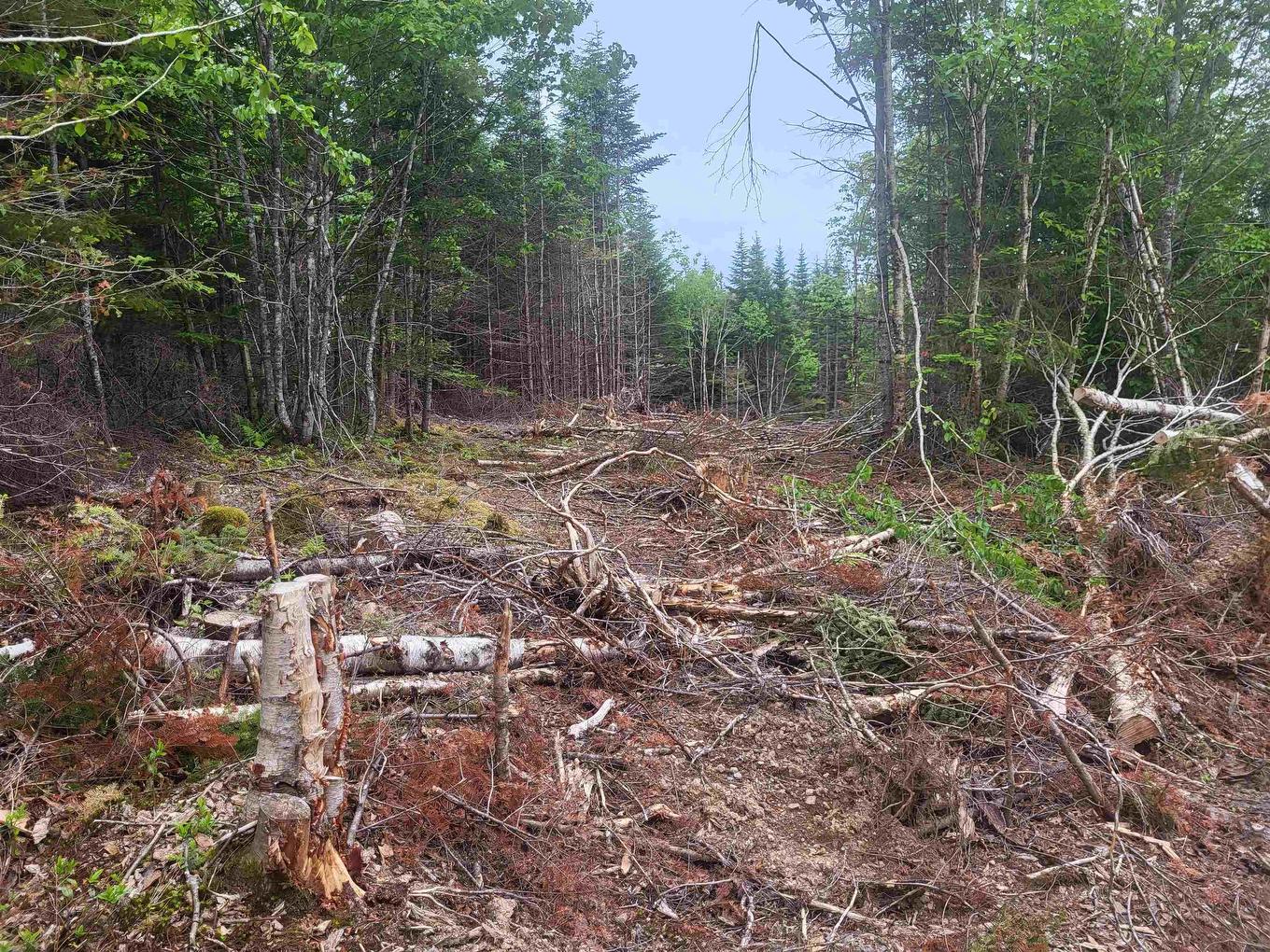 7219 Kemptown, Kemptown, NS