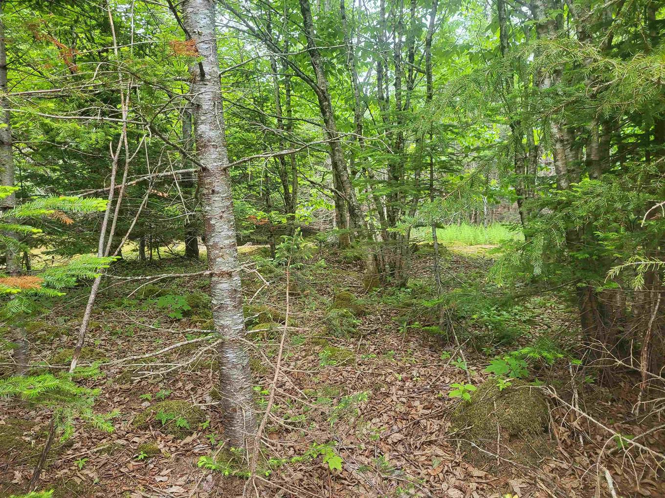 7219 Kemptown, Kemptown, NS