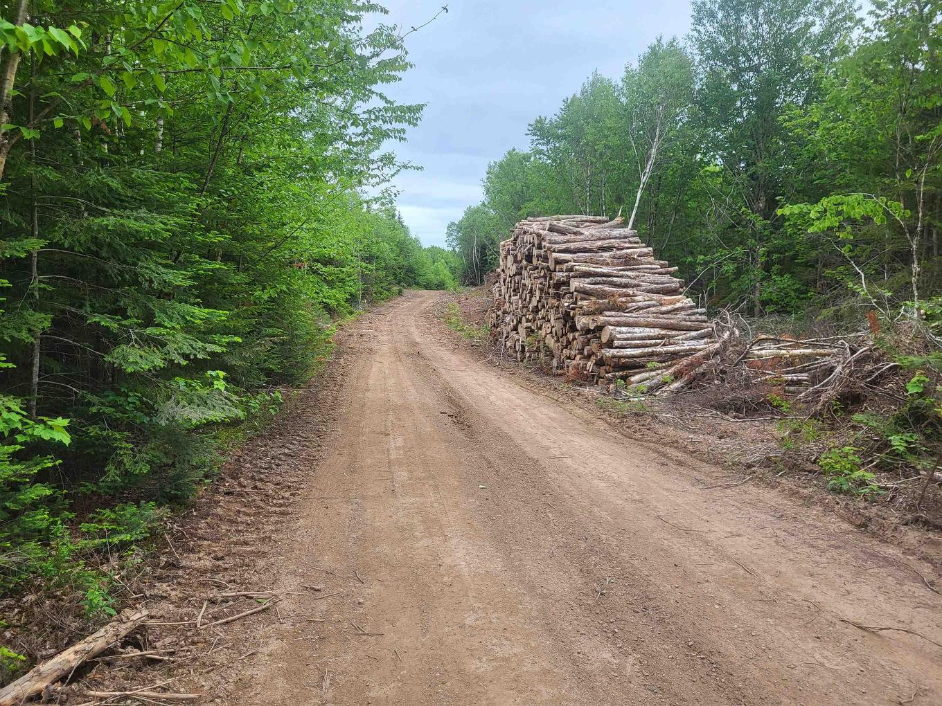 7219 Kemptown, Kemptown, NS