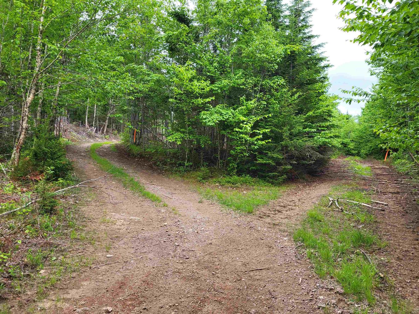 7219 Kemptown, Kemptown, NS