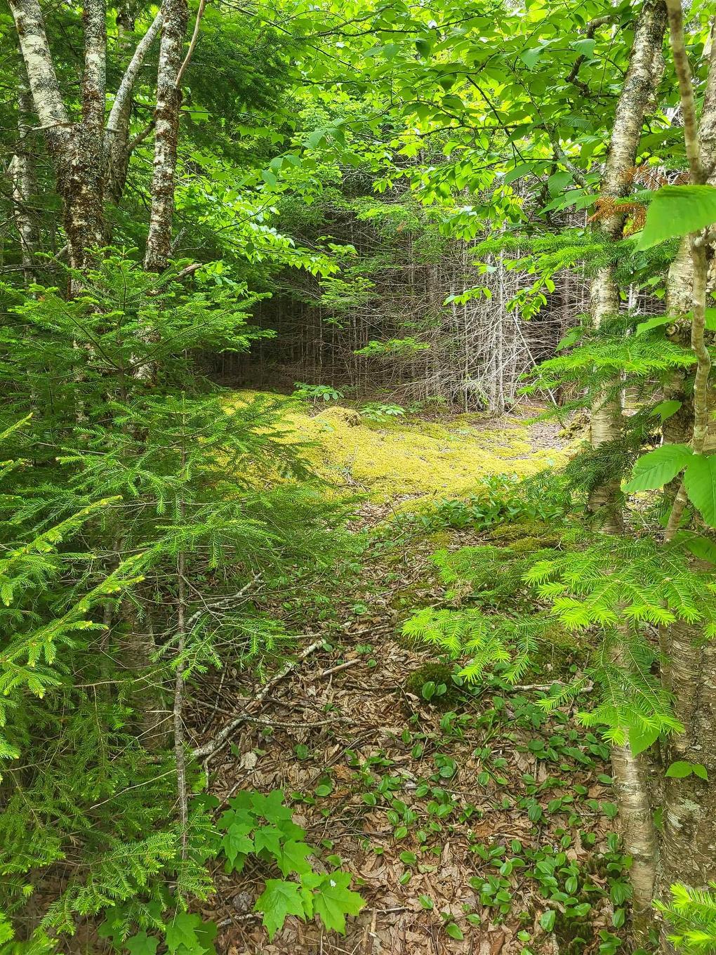 7219 Kemptown, Kemptown, NS