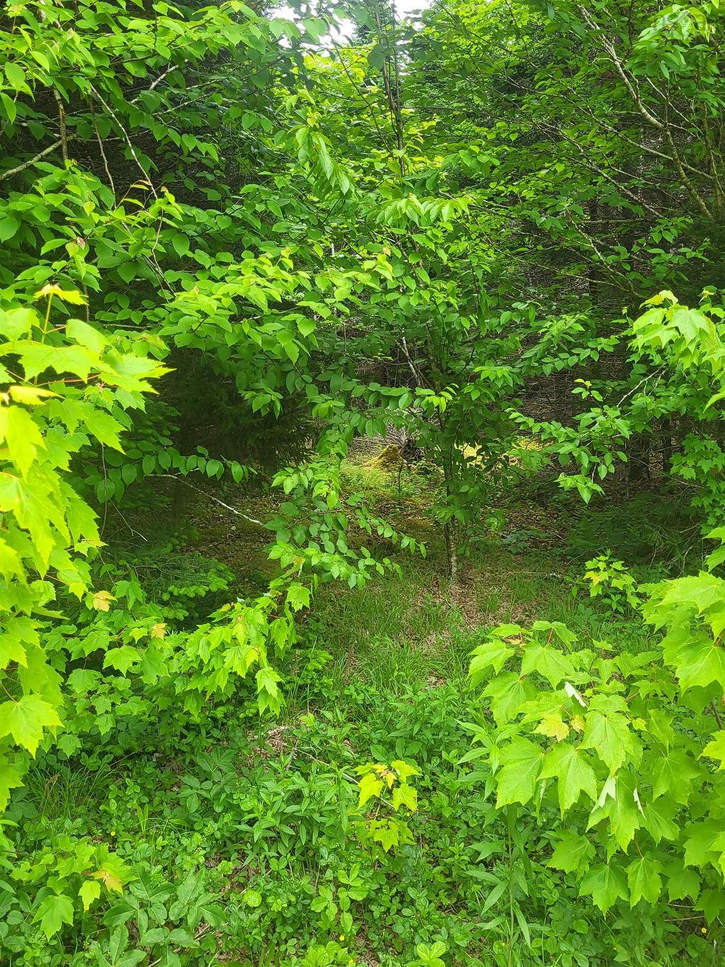 7219 Kemptown, Kemptown, NS