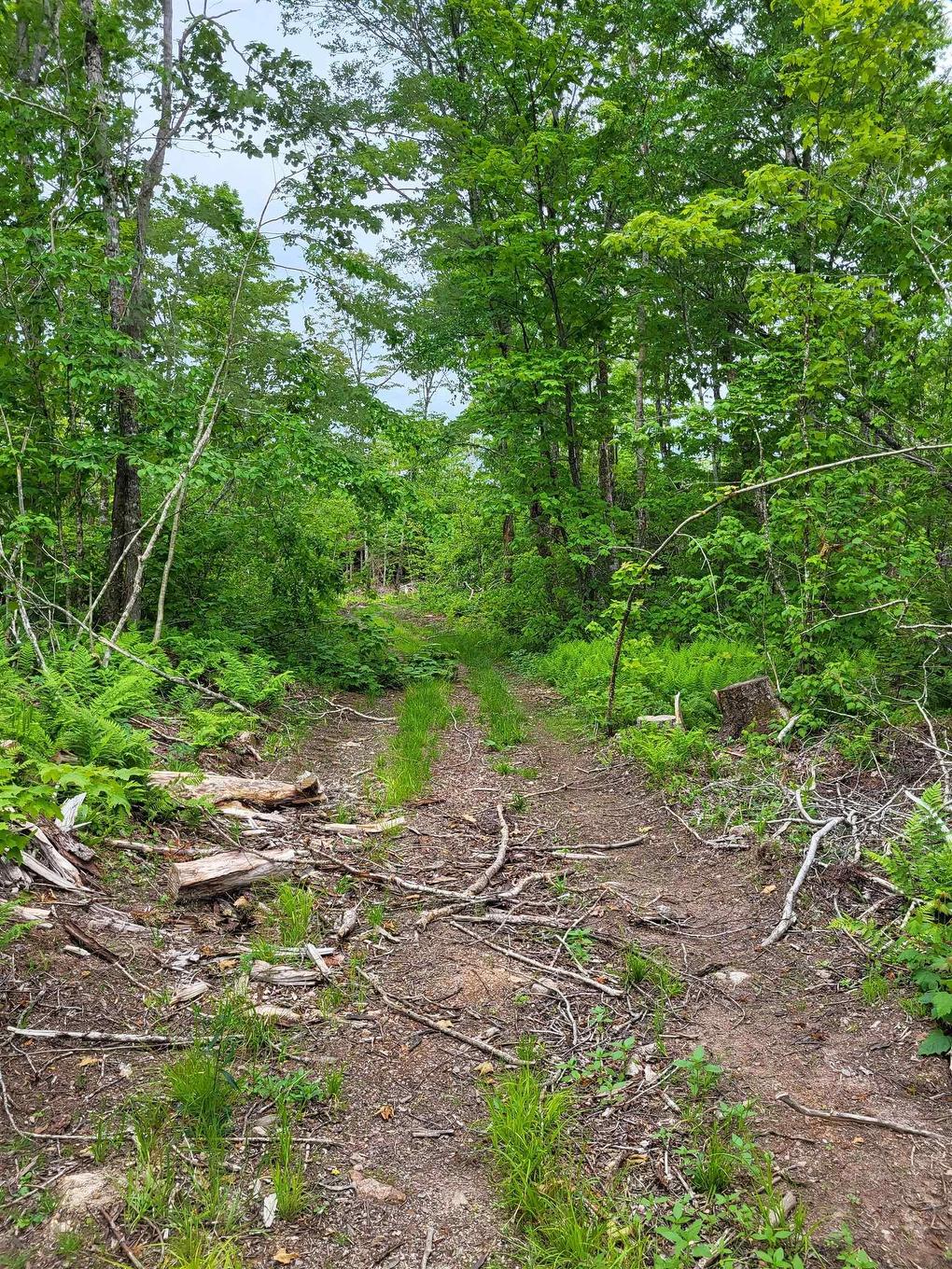 7219 Kemptown, Kemptown, NS