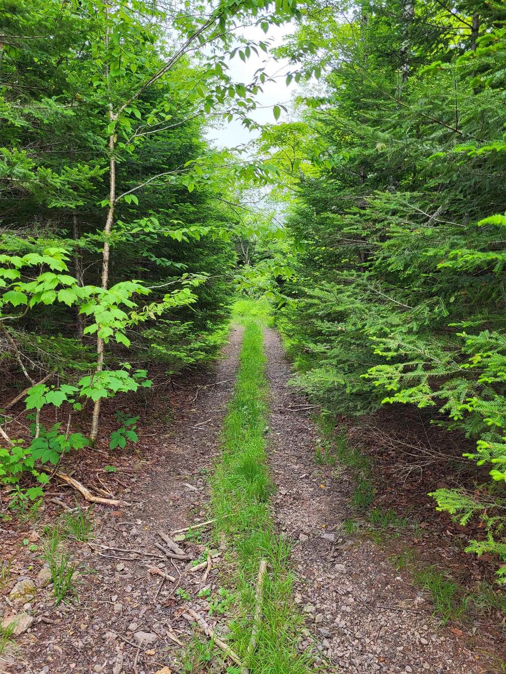 7219 Kemptown, Kemptown, NS